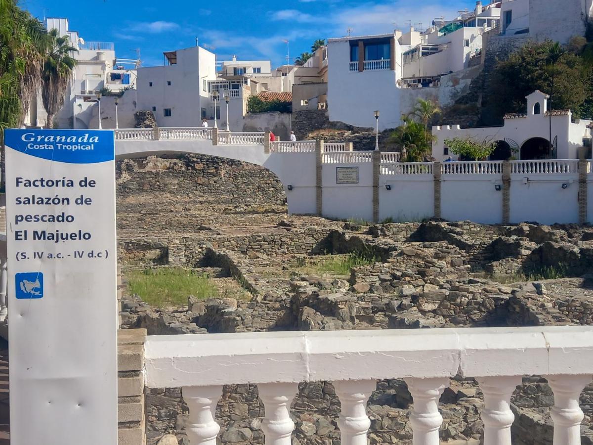 Apartamento Hibisco , Primera Linea De Playa Almuñécar エクステリア 写真